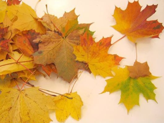 Making Wonderful Creations