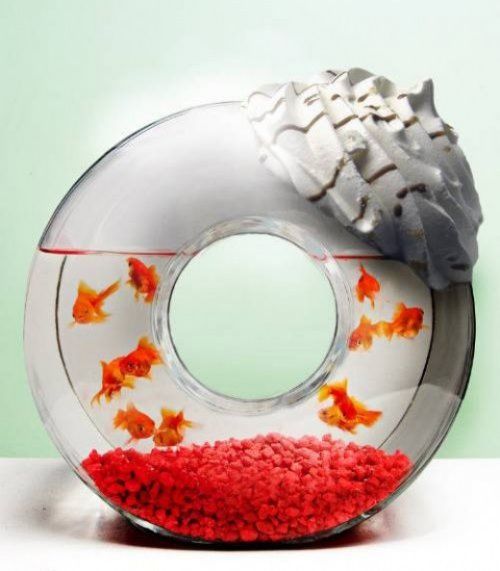 World is Full Of Doughnuts