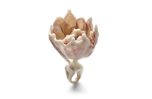 Rare and Creative Rings