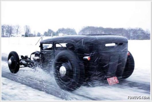 Cool Daily Funny Pix 4 You