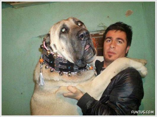 Cool Daily Funny Pix 4 You