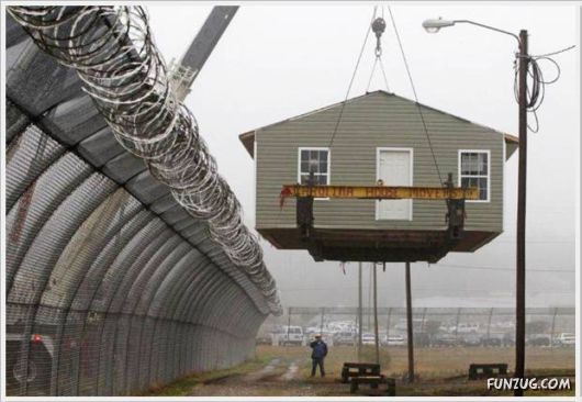 Cool Daily Funny Pix 4 You