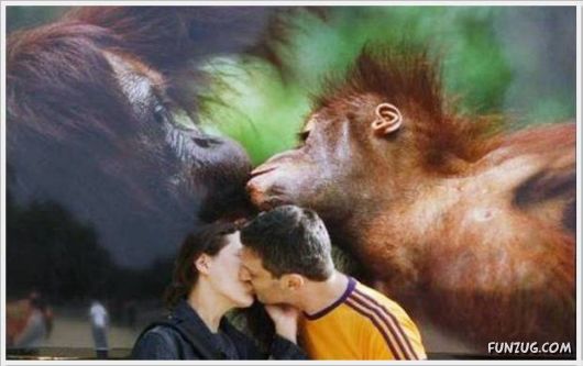 Cool Daily Funny Pix 4 You