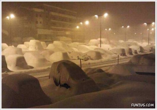 Cool Daily Funny Pix 4 You