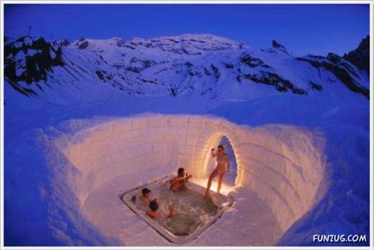 Cool Daily Funny Pix 4 You