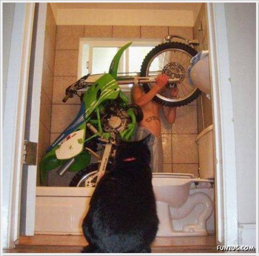 Cool Daily Funny Pix 4 You