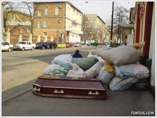 Cool Daily Funny Pix 4 You