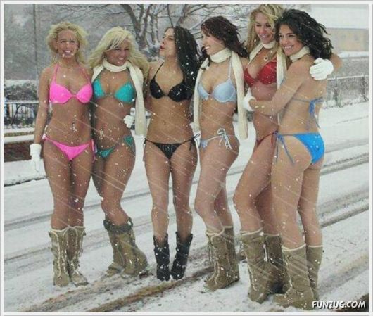 Cool Daily Funny Pix 4 You