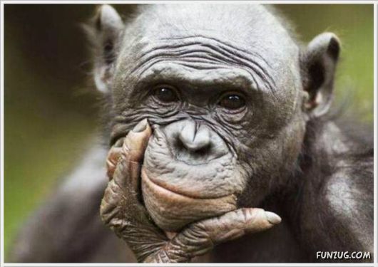 Cool Daily Funny Pix 4 You