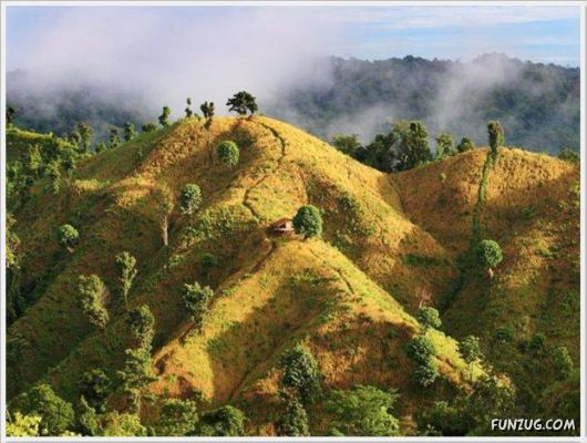 Cool Daily Funny Pix 4 You