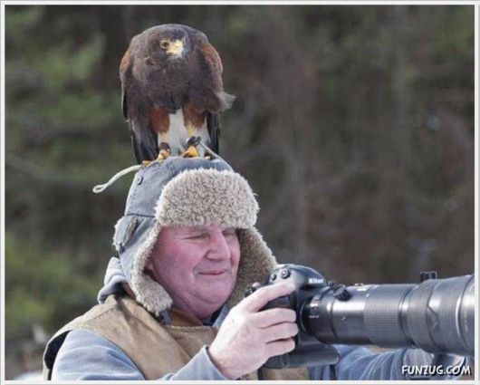 Cool Daily Funny Pix 4 You