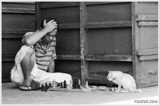 Cool Daily Funny Pix 4 You