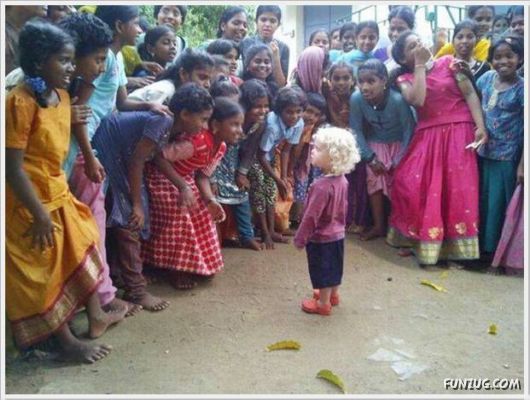 Cool Daily Funny Pix 4 You