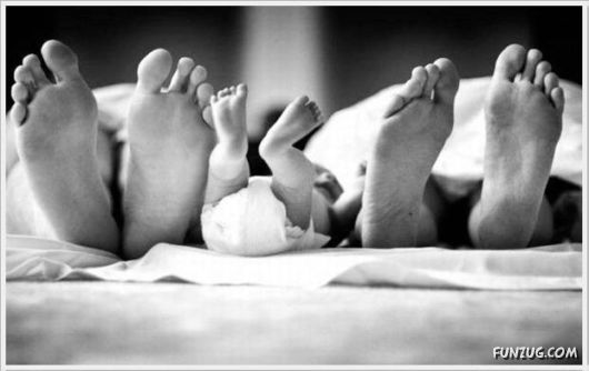 Cool Daily Funny Pix 4 You