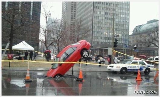 Funny Cool Pictures Collection