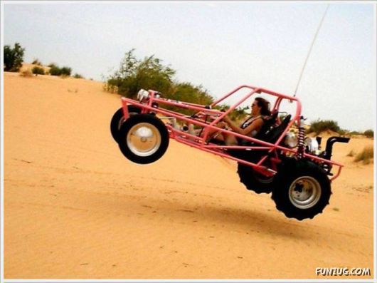 Funny Cool Pictures Collection