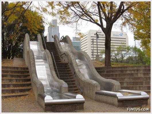 Funny Cool Pictures Collection