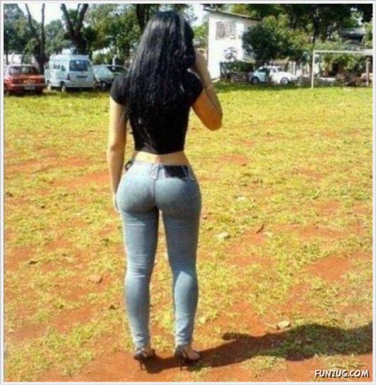 Funny Cool Pictures Collection