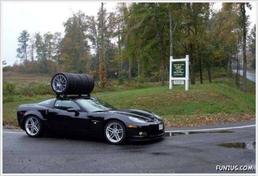 Funny Cool Pictures Collection