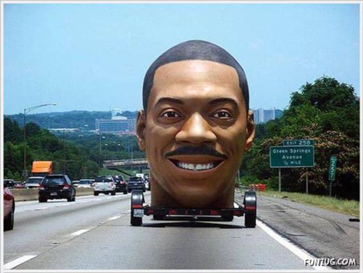 Funny Cool Pictures Collection