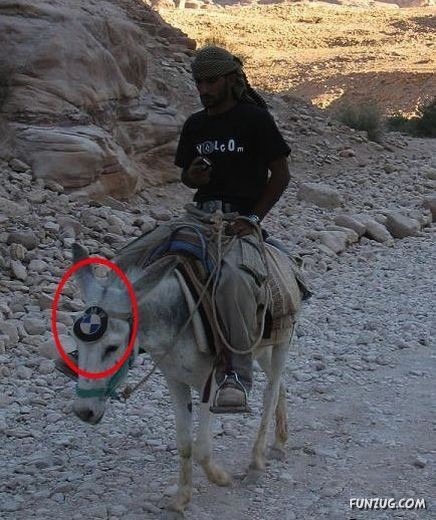 Funny Pictures to Make You Smile