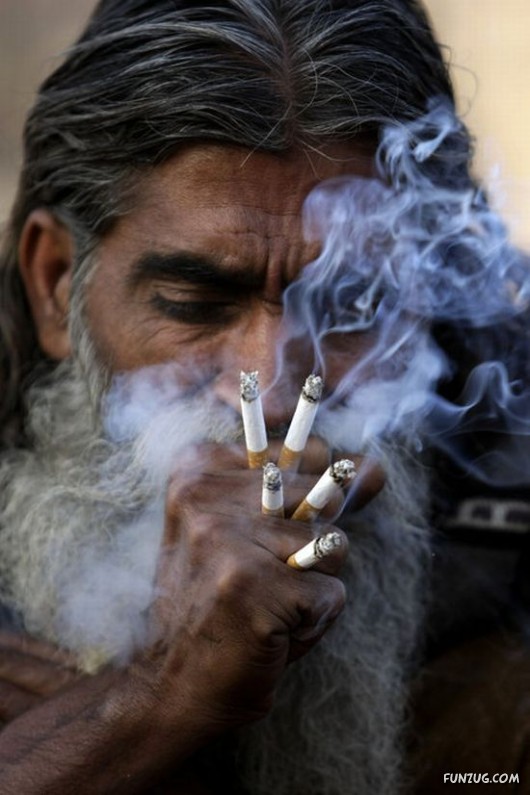 Funny Pictures to Make You Smile