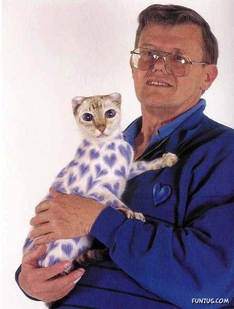 Lets Have Some Fun with Cat