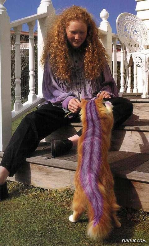 Lets Have Some Fun with Cat