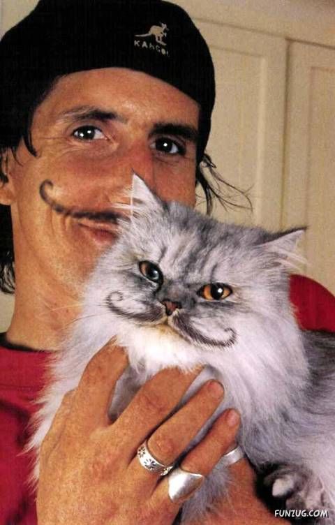 Lets Have Some Fun with Cat