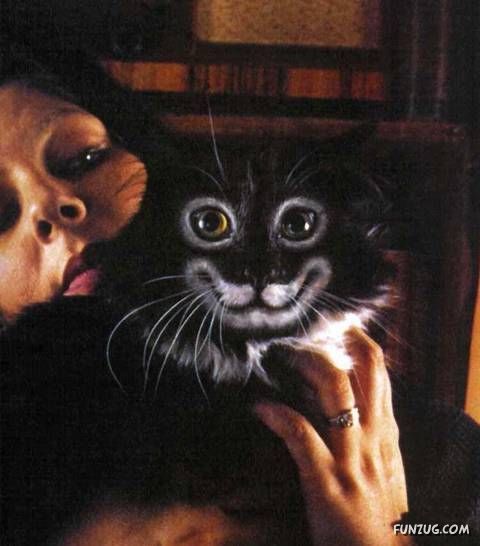 Lets Have Some Fun with Cat