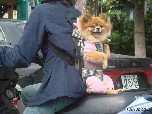 It Happens Only In Asia