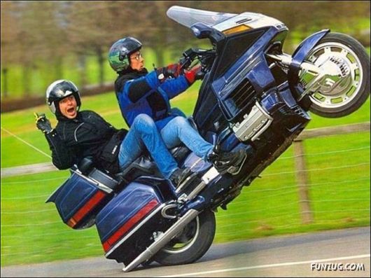 Crazy Jumping Funny Pictures