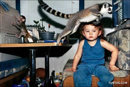 Crazy Jumping Funny Pictures