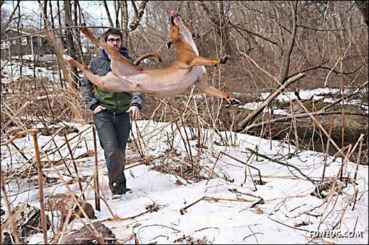 Crazy Jumping Funny Pictures