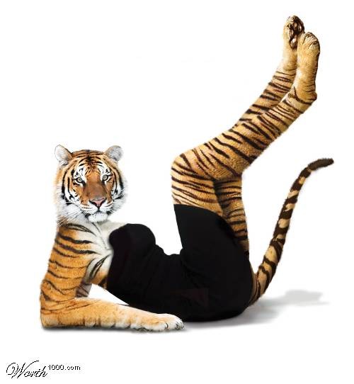 My Pets are Sexier Than Yours