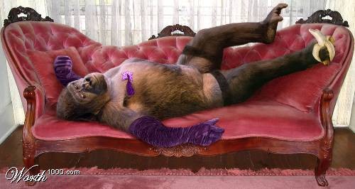 My Pets are Sexier Than Yours