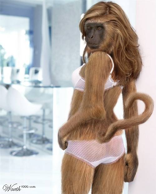 My Pets are Sexier Than Yours