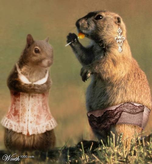 My Pets are Sexier Than Yours