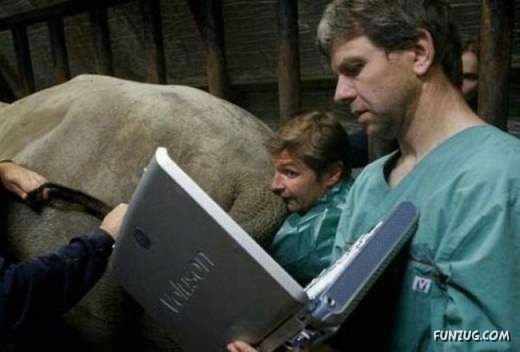 Notebooks are Used Everywhere