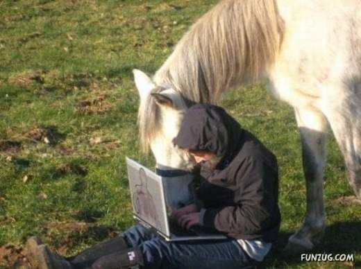 Notebooks are Used Everywhere