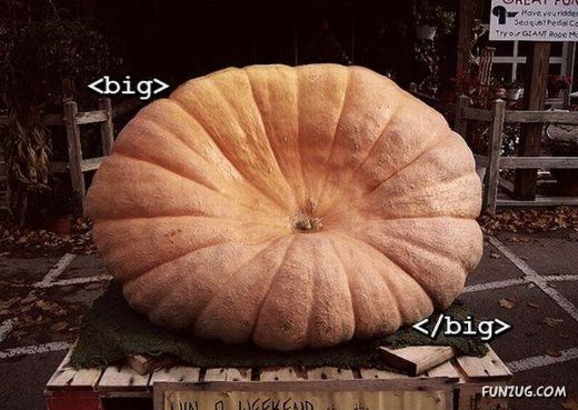 HTML Tags in Real Life