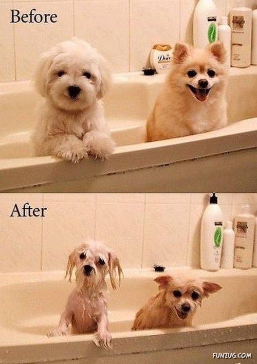 Hilarious Before And After Images