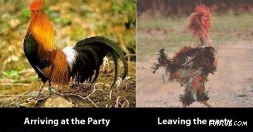 Hilarious Before And After Images