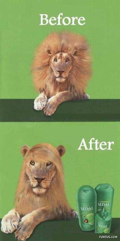 Hilarious Before And After Images