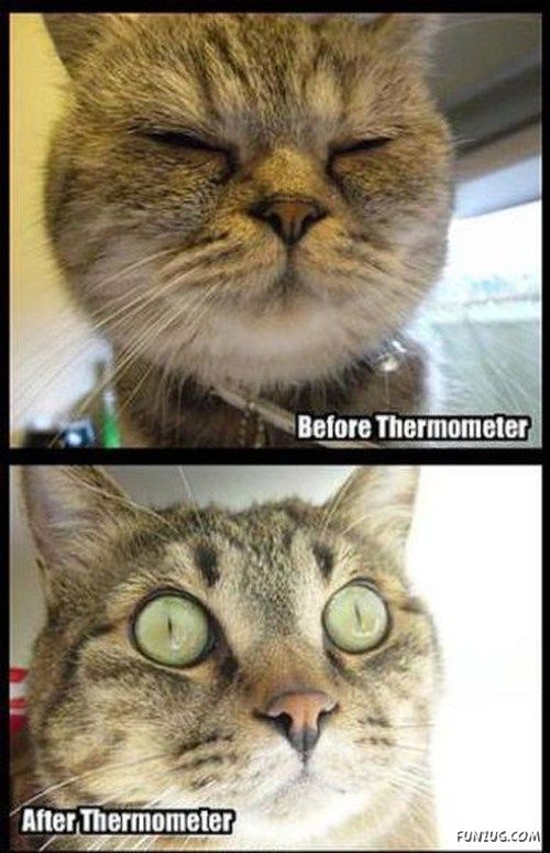 Hilarious Before And After Images