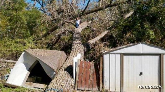 Daily Funny Pic Dump