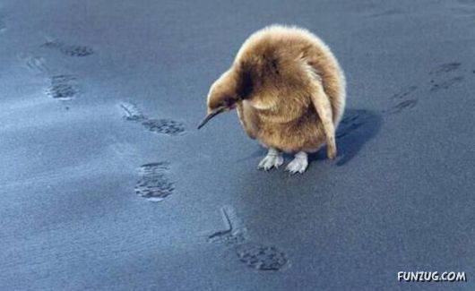 Daily Funny Pic Dump