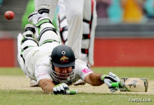 Daily Funny Pic Dump