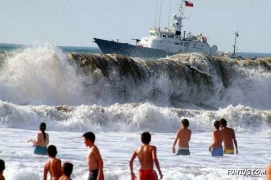 Daily Funny Pic Dump