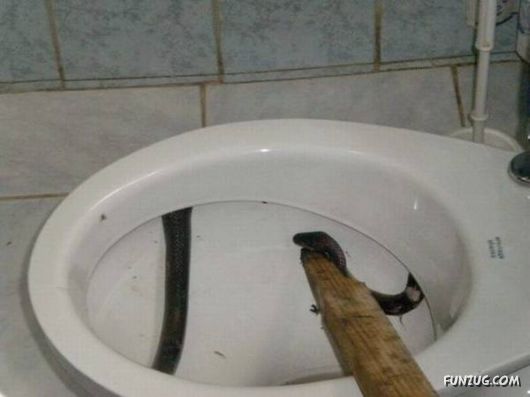 Daily Funny Pic Dump